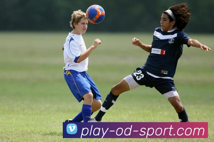 App Interface Preview