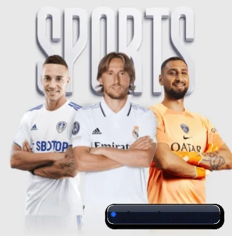 每个板块围绕一个运动项目展开 - Sports